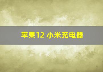 苹果12 小米充电器